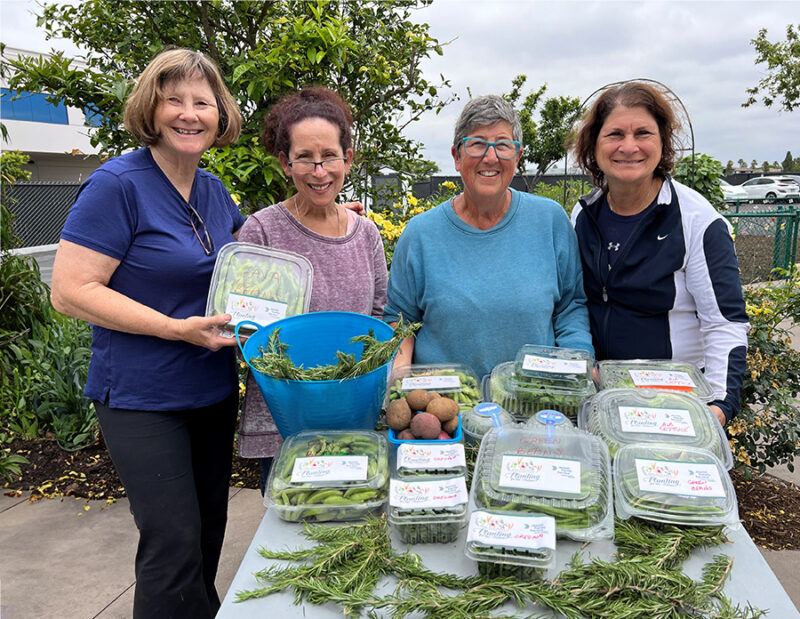Thanks to our dedicated volunteers, JFS is able to support over 90,000 people annually in San Diego, Orange, and Riverside Counties. Discover how they make a difference and why they're 