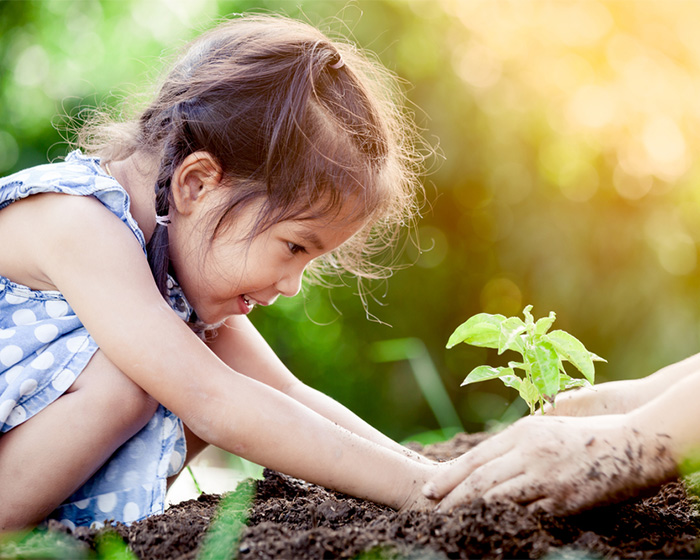 A girl gently plants a seedling, her hands nurturing its growth much like charitable contributions nurture communities.